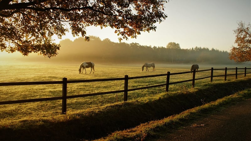 Sunset River Ranch